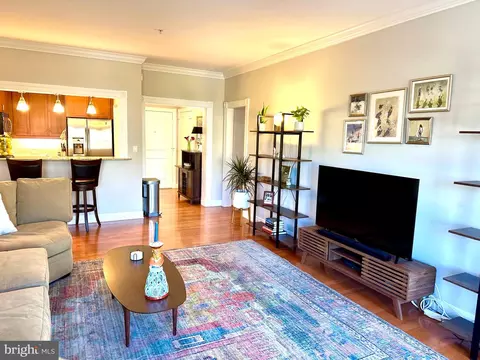 Living - 401 13th St NE #302, Washington, DC 20002 photo 4 of 7