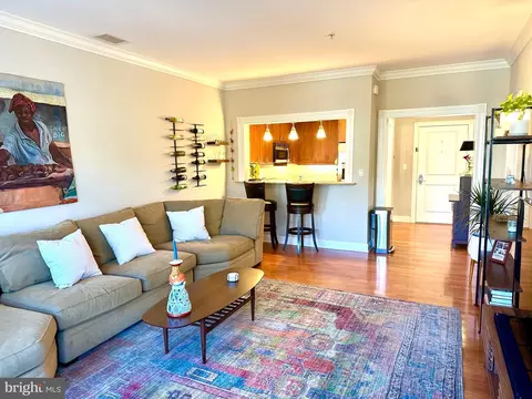 Living - 401 13th St NE #302, Washington, DC 20002 photo 5 of 7