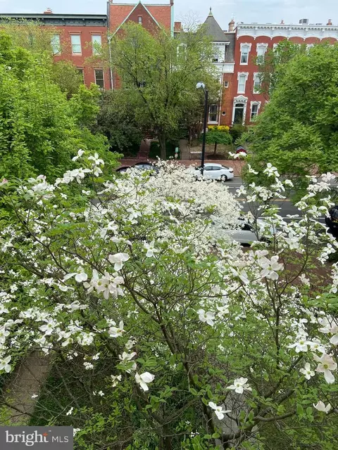 Other - 509 E Capitol St SE, Washington, DC 20003 photo 14 of 23
