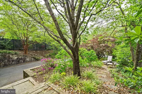 Exterior - 4511 Potomac Ave NW, Washington, DC 20007 photo 10 of 11