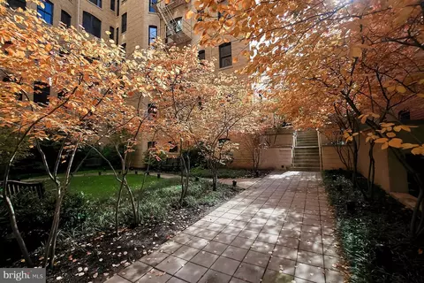 2220 20th St NW #32, Washington, DC 20009 photo 17