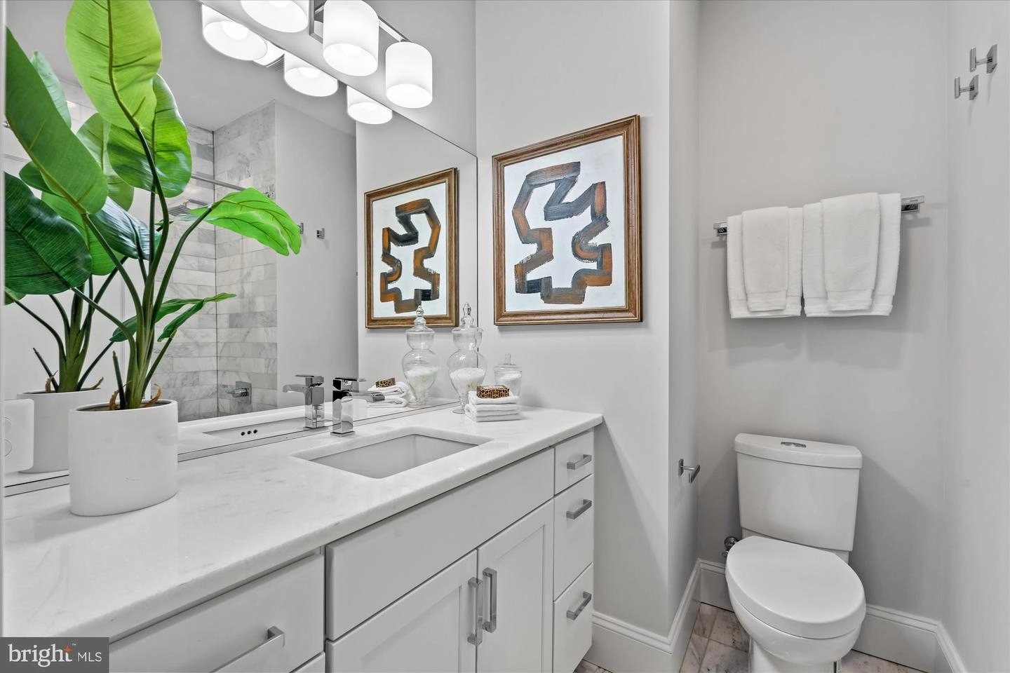 Bath - 819 D St NE #34, Washington, DC 20002 photo 5 of 6