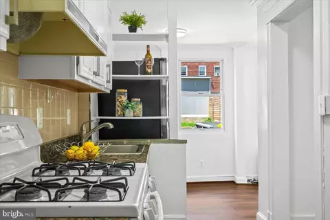 213 Webster St NW, Washington, DC 20011 photo 14