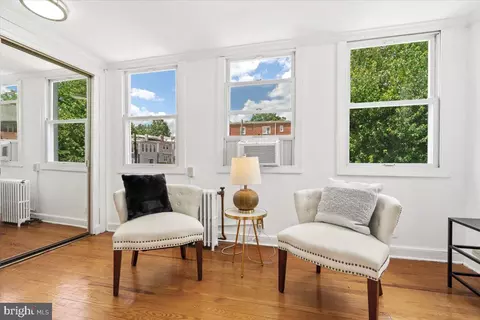 213 Webster St NW, Washington, DC 20011 photo 20