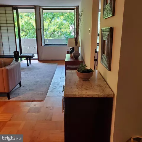 1245 4th St SW #E-100, Washington, DC 20024 photo 14