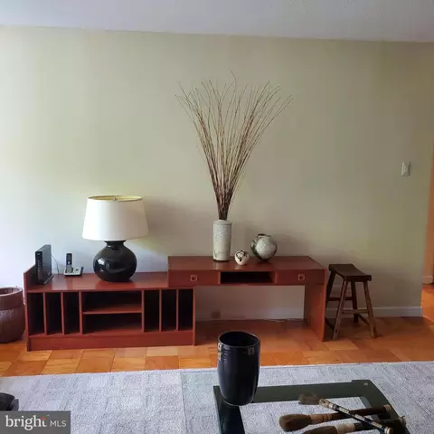 1245 4th St SW #E-100, Washington, DC 20024 photo 16