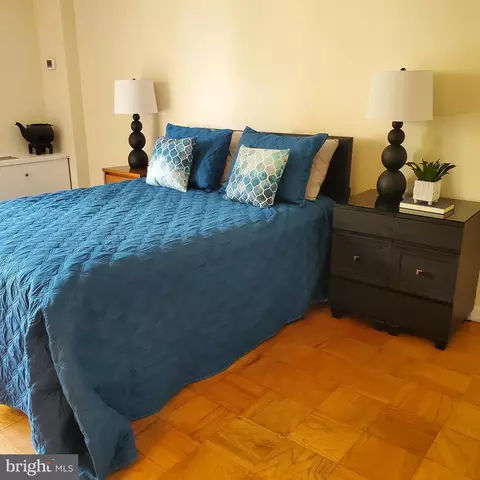 1245 4th St SW #E-100, Washington, DC 20024 photo 27
