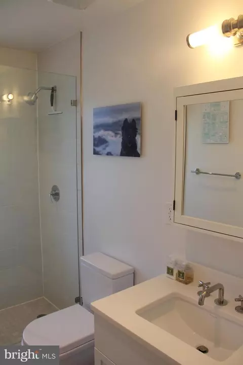 611 D St SE #4E, Washington, DC 20003 photo 52