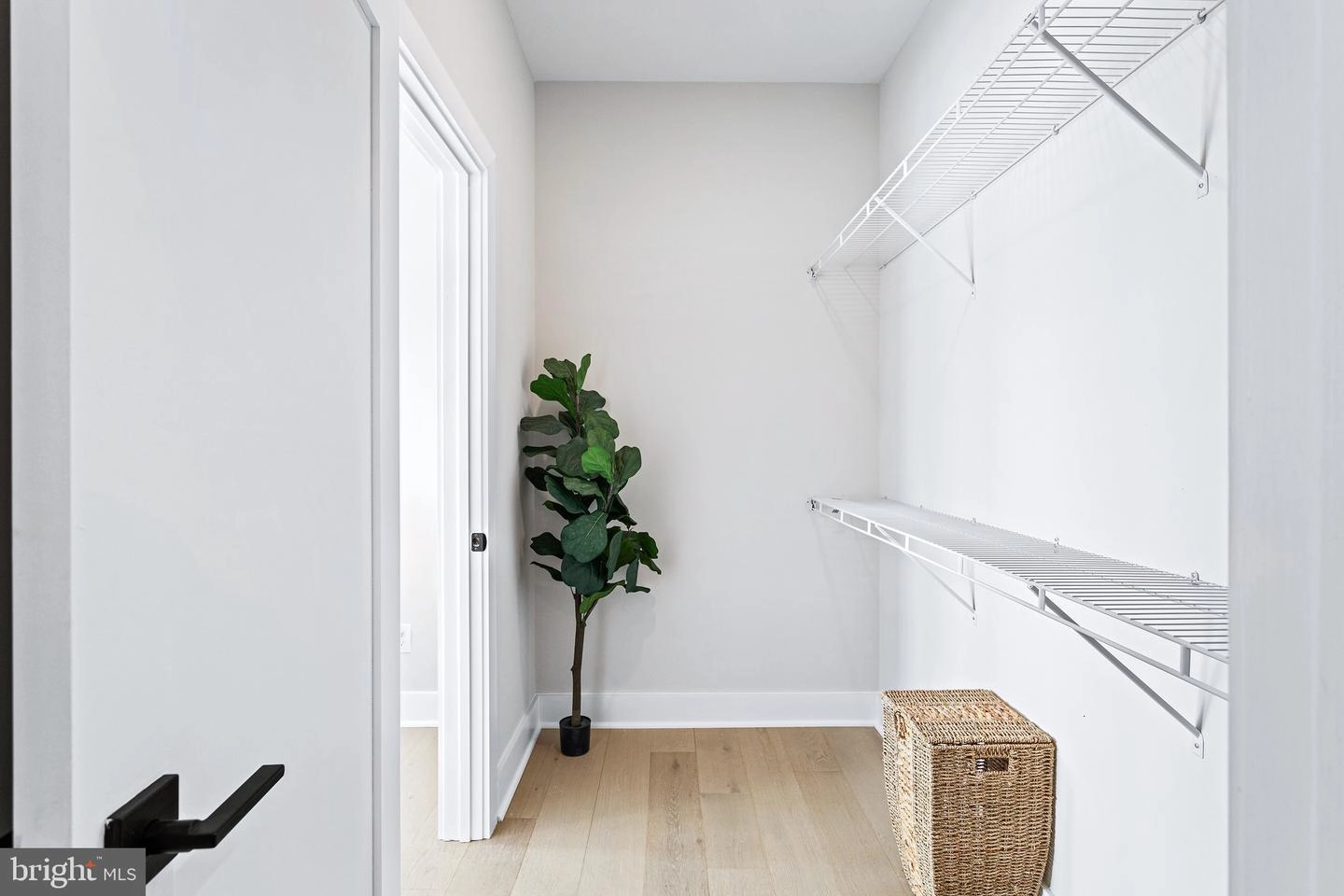 2209 M St NE #11, Washington, DC 20002 photo 13