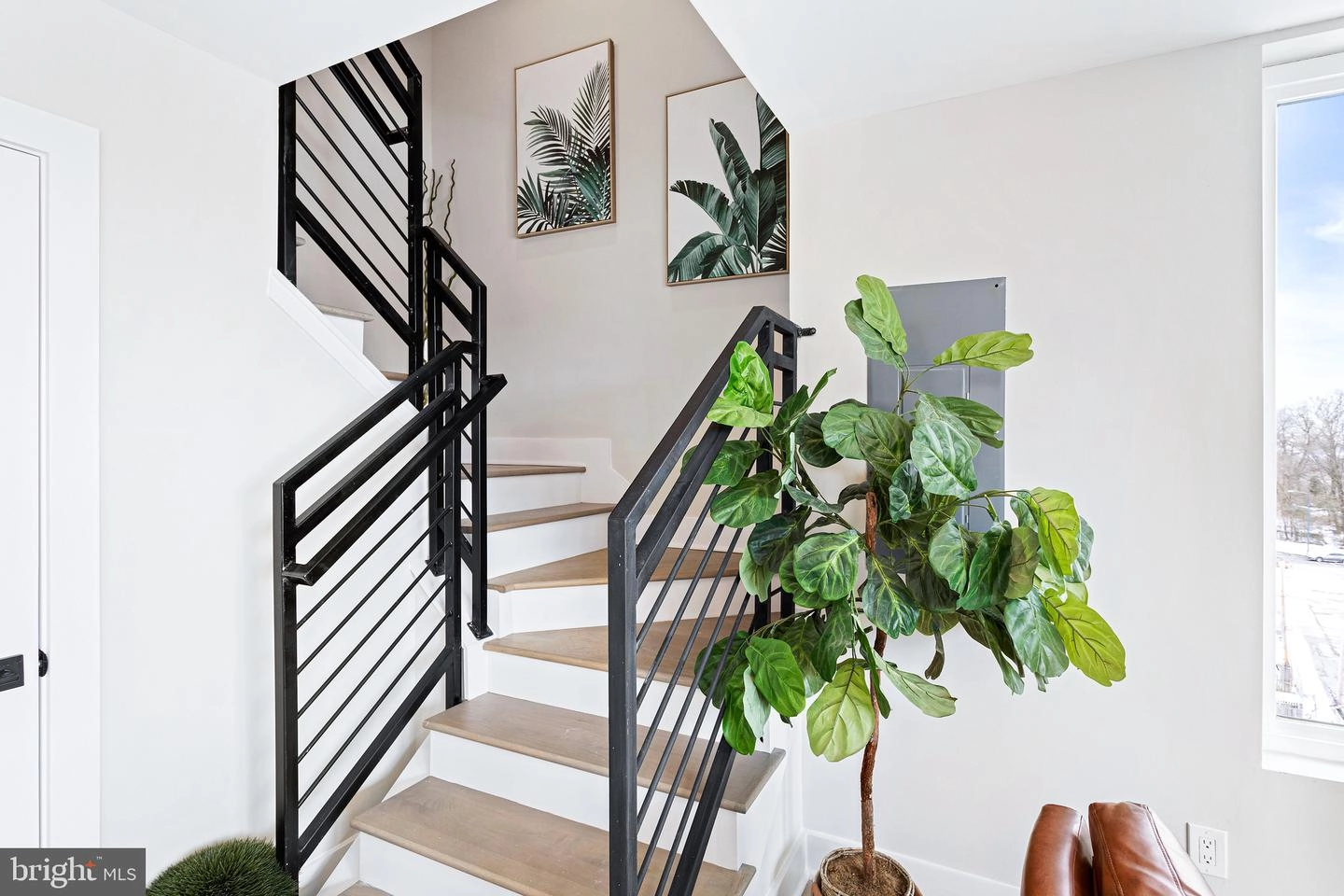 2209 M St NE #11, Washington, DC 20002 photo 6