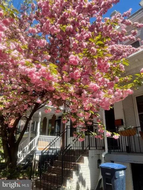 Other - 815 10th St NE, Washington, DC 20002 photo 14 of 14