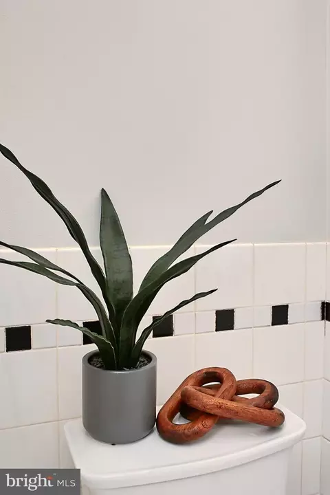 Bath - 2011 37th St NW, Washington, DC 20007 photo 7 of 8