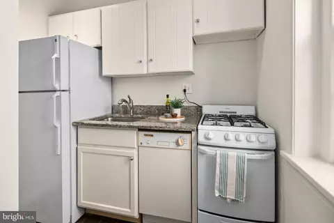 117 E Street St SE #203, Washington, DC 20003 photo 13