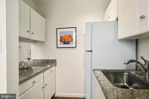 117 E Street St SE #203, Washington, DC 20003 photo 16