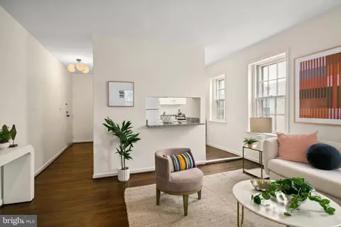 117 E Street St SE #203, Washington, DC 20003 photo 4