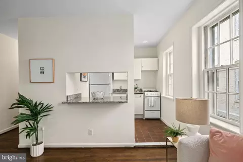 117 E Street St SE #203, Washington, DC 20003 photo 11