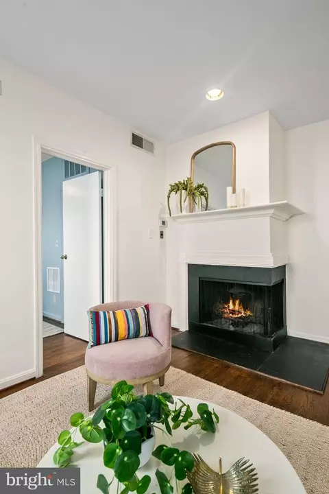 117 E Street St SE #203, Washington, DC 20003 photo 9