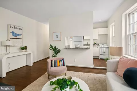 117 E Street St SE #203, Washington, DC 20003 photo 6