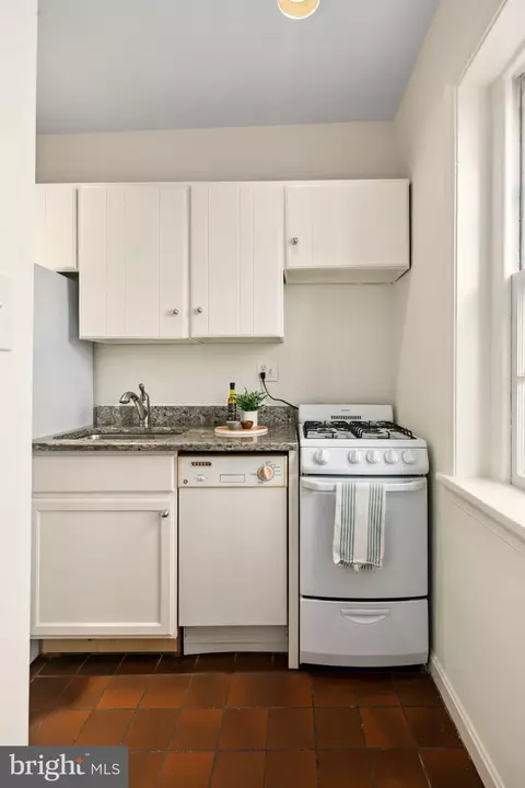 117 E Street St SE #203, Washington, DC 20003 photo 18