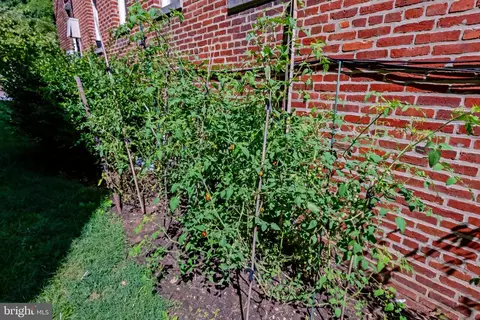 3409 29th St NW #3, Washington, DC 20008 photo 33