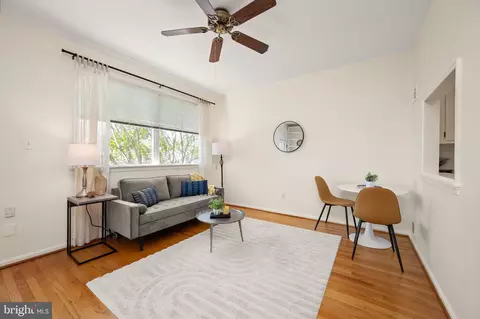 Living - 435 2nd St SE #A3, Washington, DC 20003 photo 3 of 5