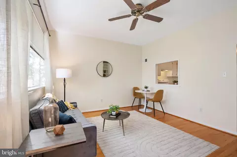 Living - 435 2nd St SE #A3, Washington, DC 20003 photo 5 of 5