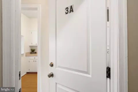 Entry Way - 435 2nd St SE #A3, Washington, DC 20003 photo 3 of 6