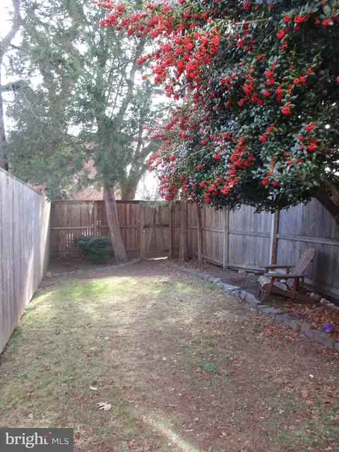 3554 T St NW, Washington, DC 20007 photo 4