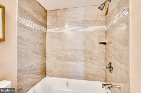 Bath - 3354 Ely Pl SE, Washington, DC 20019 photo 8 of 8