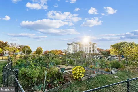 1201 Potomac Ave SE #2, Washington, DC 20003 photo 39