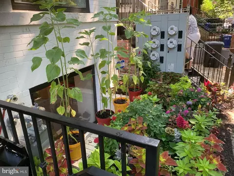 Exterior - 1717 Euclid St NW #1, Washington, DC 20009 photo 3 of 3