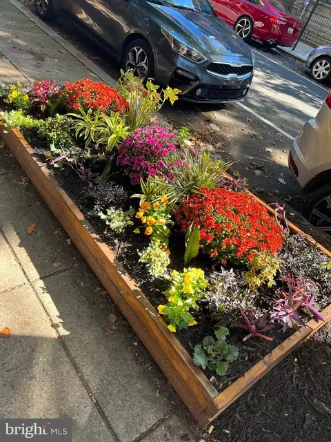 Other - 1717 Euclid St NW #1, Washington, DC 20009 photo 6 of 6