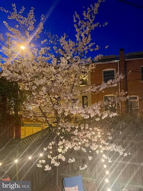 1428 A St NE, Washington, DC 20002 photo 28