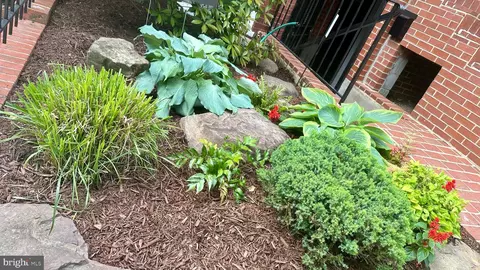 Exterior - 507 G St NE, Washington, DC 20002 photo 4 of 8