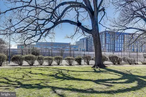 610 3rd St SE #10, Washington, DC 20003 photo 25