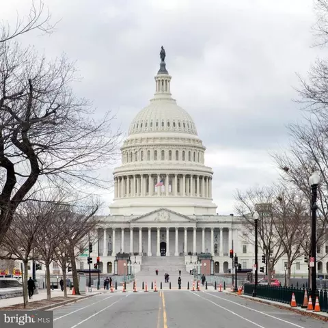Other - 329 Constitution Ave NE, Washington, DC 20002 photo 20 of 24