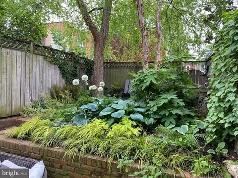 329 7th St NE, Washington, DC 20002 photo 40