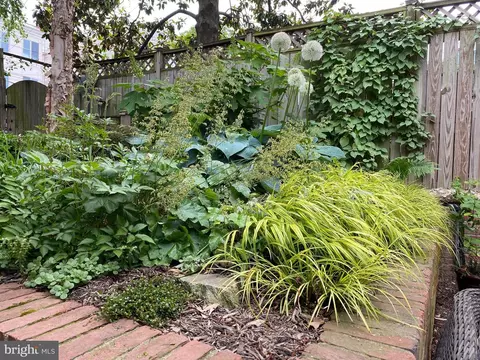 329 7th St NE, Washington, DC 20002 photo 39