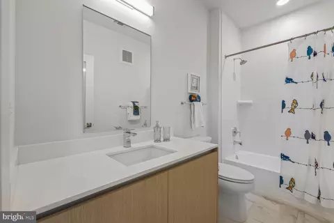 Bath - 1309 E Street St SE #35, Washington, DC 20003 photo 2 of 3