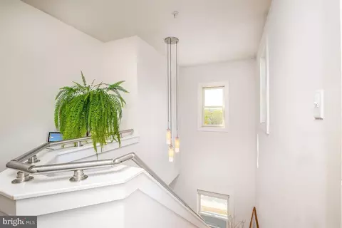 257 15th St SE #D, Washington, DC 20003 photo 24