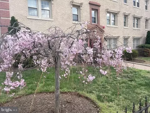 2625 3rd St NE #105, Washington, DC 20002