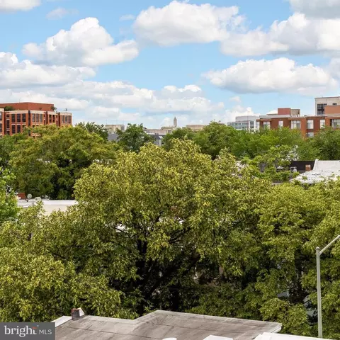 Other - 505 L St NE #A, Washington, DC 20002 photo 11 of 16