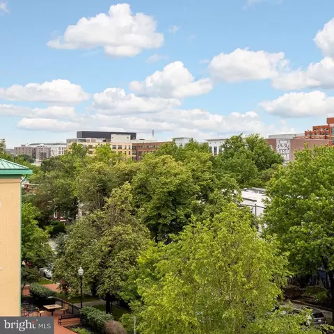 503 L St NE #B, Washington, DC 20002 photo 46
