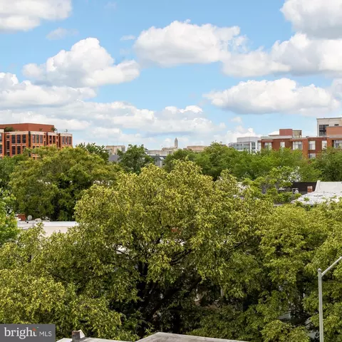 503 L St NE #B, Washington, DC 20002 photo 45