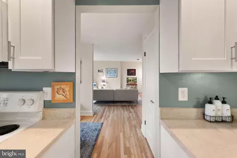 317 10th St NE #13, Washington, DC 20002 photo 17