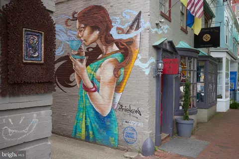 3238 P St NW, Washington, DC 20007 photo 44