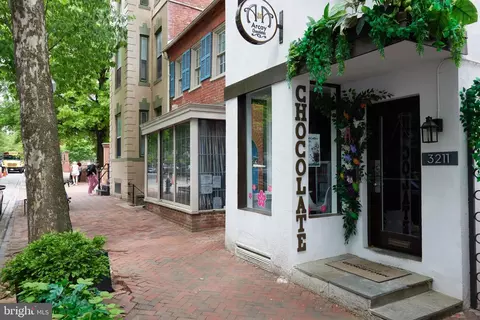3238 P St NW, Washington, DC 20007 photo 39