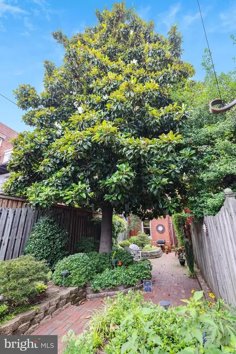 637 Constitution Ave NE, Washington, DC 20002 photo 40