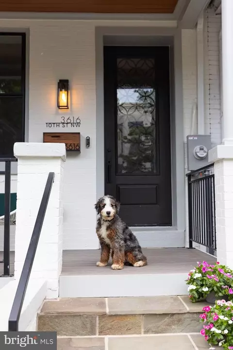 3616 10th St NW, Washington, DC 20010