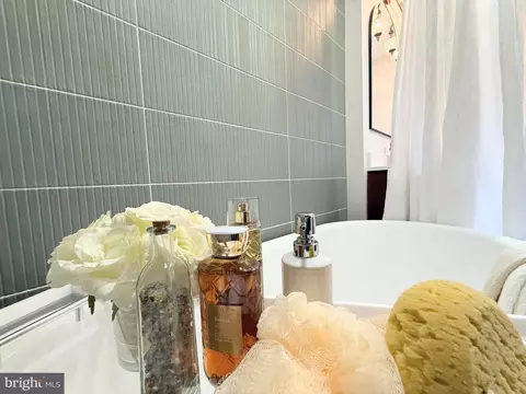 Bath - 307 4th St NE, Washington, DC 20002 photo 6 of 8